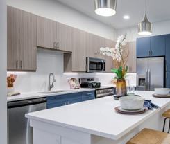4920 Live Oak Street - Photo 1 of 1