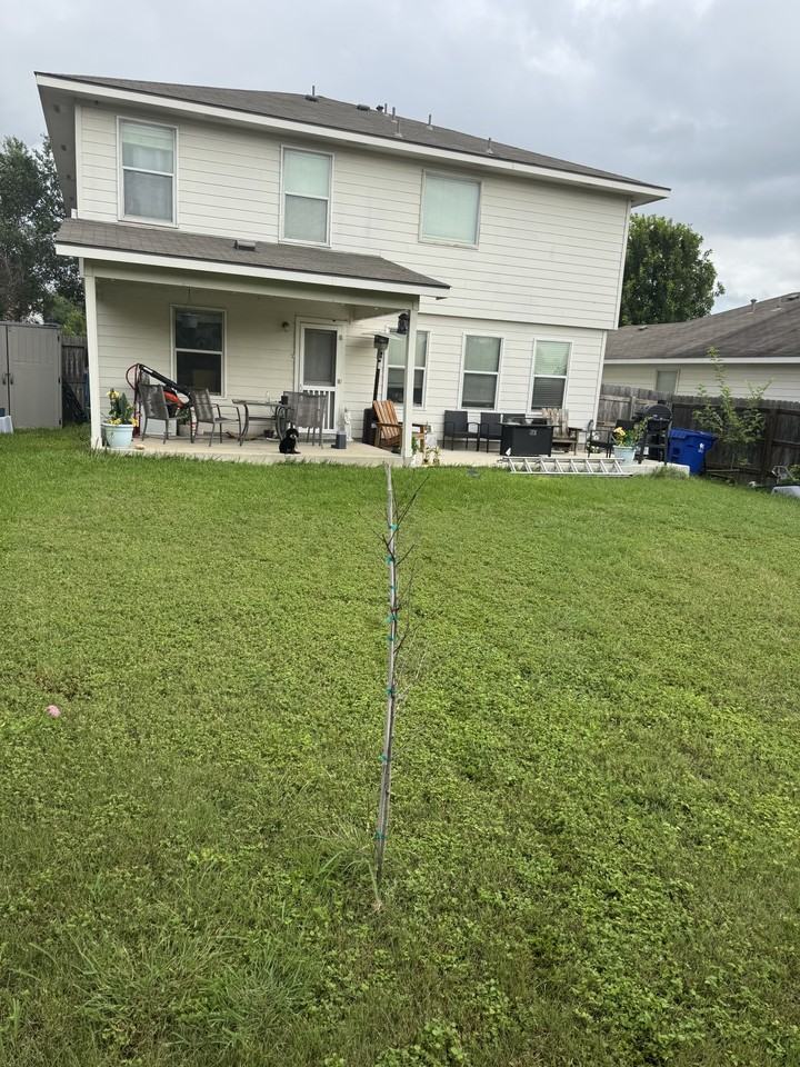 337 Longhorn Way #1 - Photo 4 of 5