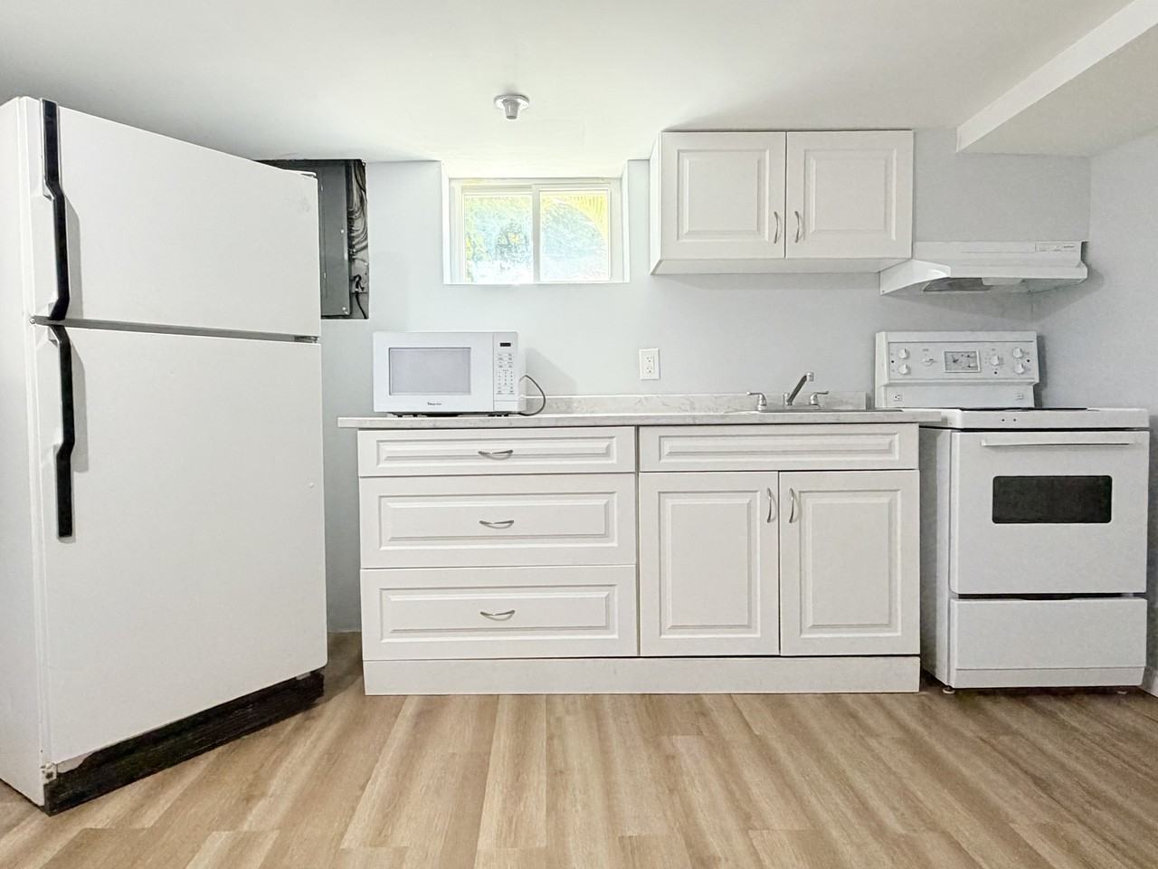 1257 Pelissier St Lowr - Photo 6 of 17