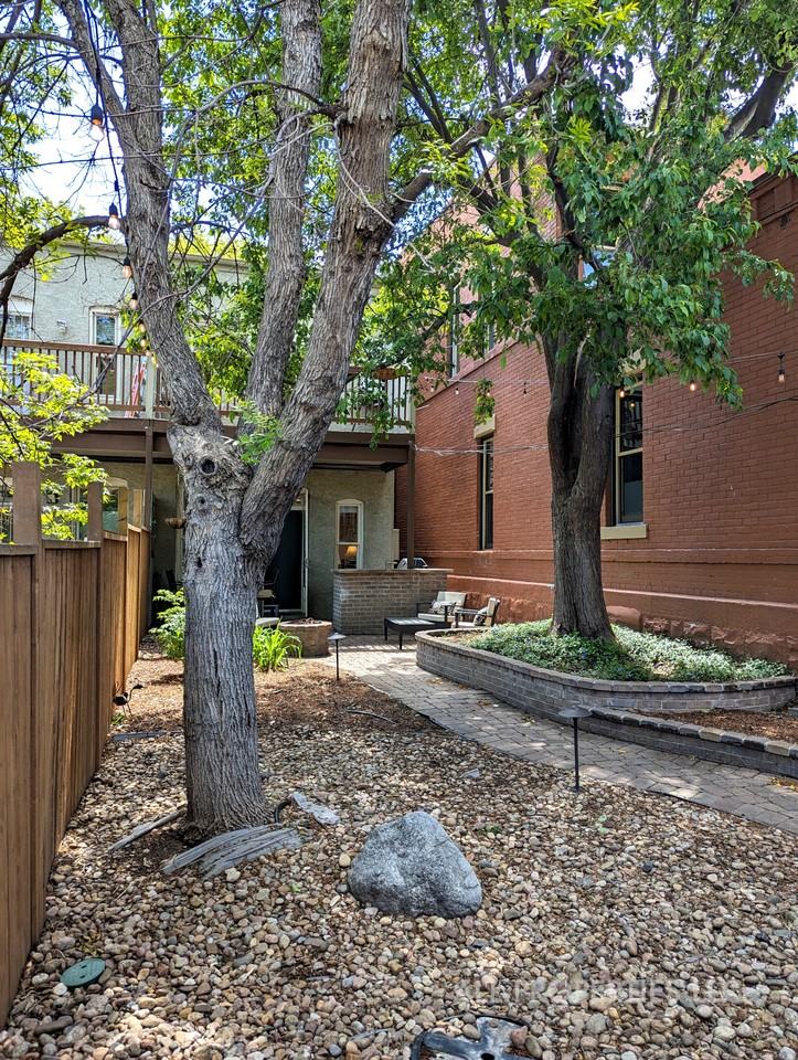 2753 Champa St #1 - Photo 5 of 47