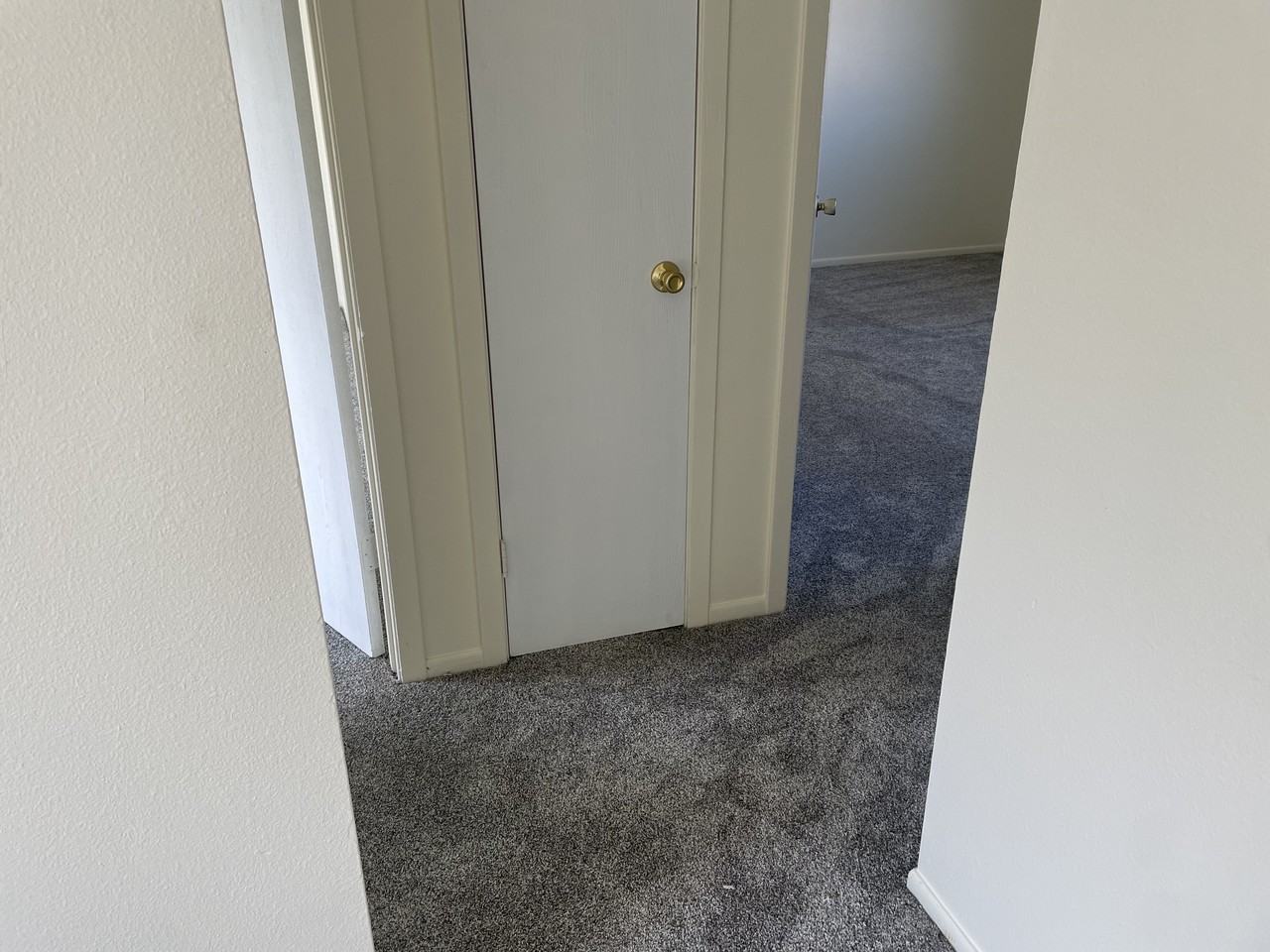 260 Honeysuckle Street - Photo 5 of 10