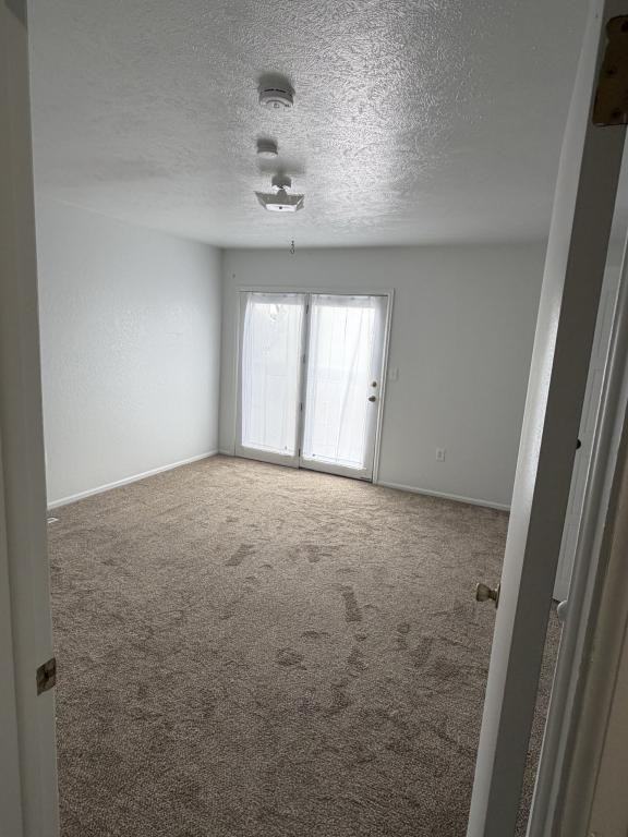 2151 E Bridge St - Photo 6 of 11