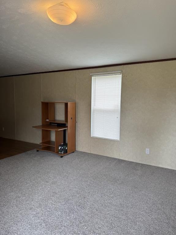 208 Overland Trl - Photo 6 of 15