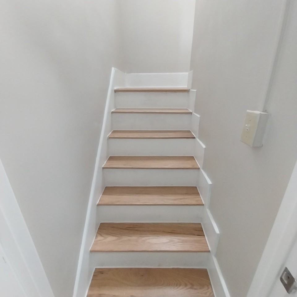 231 Primrose Ave - Photo 2 of 16