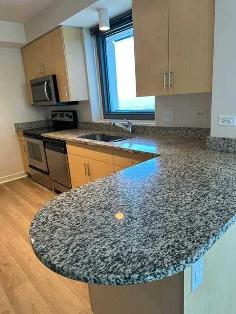 1249 S Michigan Ave - Photo 6 of 20