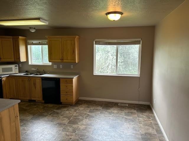 842 Mallard Loop - Photo 3 of 11