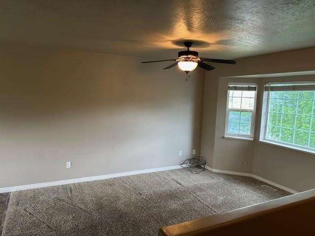842 Mallard Loop - Photo 5 of 11