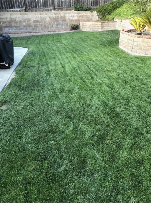 2104 Madiera Dr - Photo 2 of 12