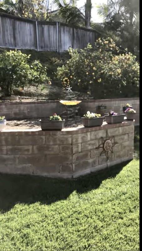 2104 Madiera Dr - Photo 3 of 12