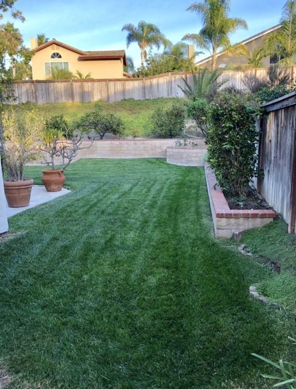 2104 Madiera Dr - Photo 5 of 12