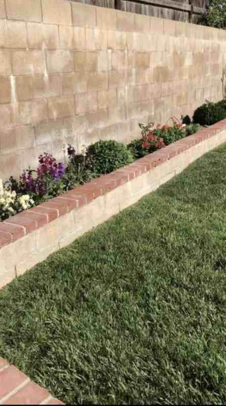 2104 Madiera Dr - Photo 6 of 12