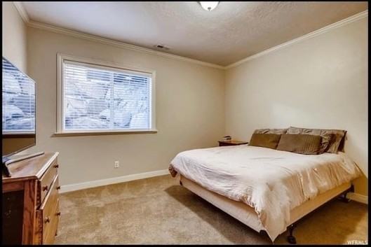 8934 N Pine Hollow Dr - Photo 6 of 6