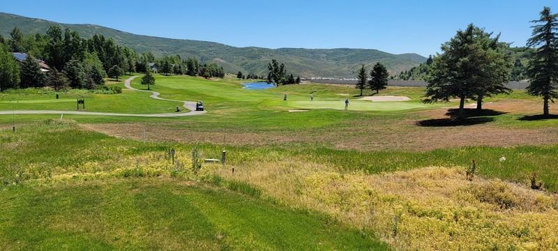8710 Silver Spur Rd - Photo 2 of 18