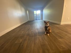 598 W Murray Blvd #1B - Photo 1 of 1