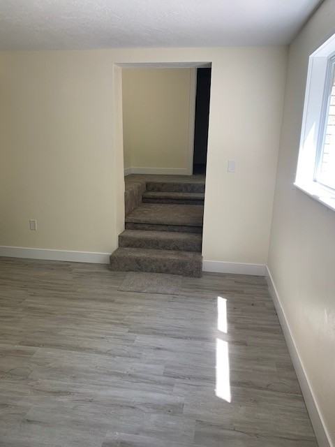 142 Es - Photo 6 of 9