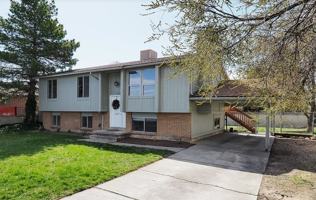 featured image of 4907 Ws