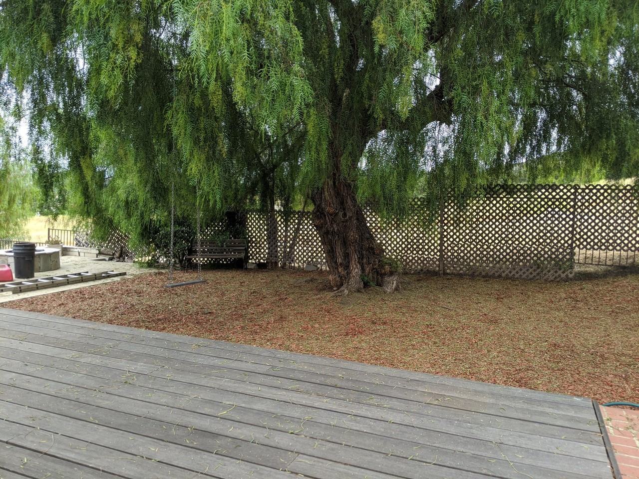 276 Heavenly Valley Rd - Photo 4 of 13