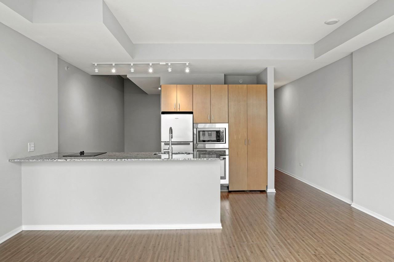 183 E Illinois St - Photo 2 of 10