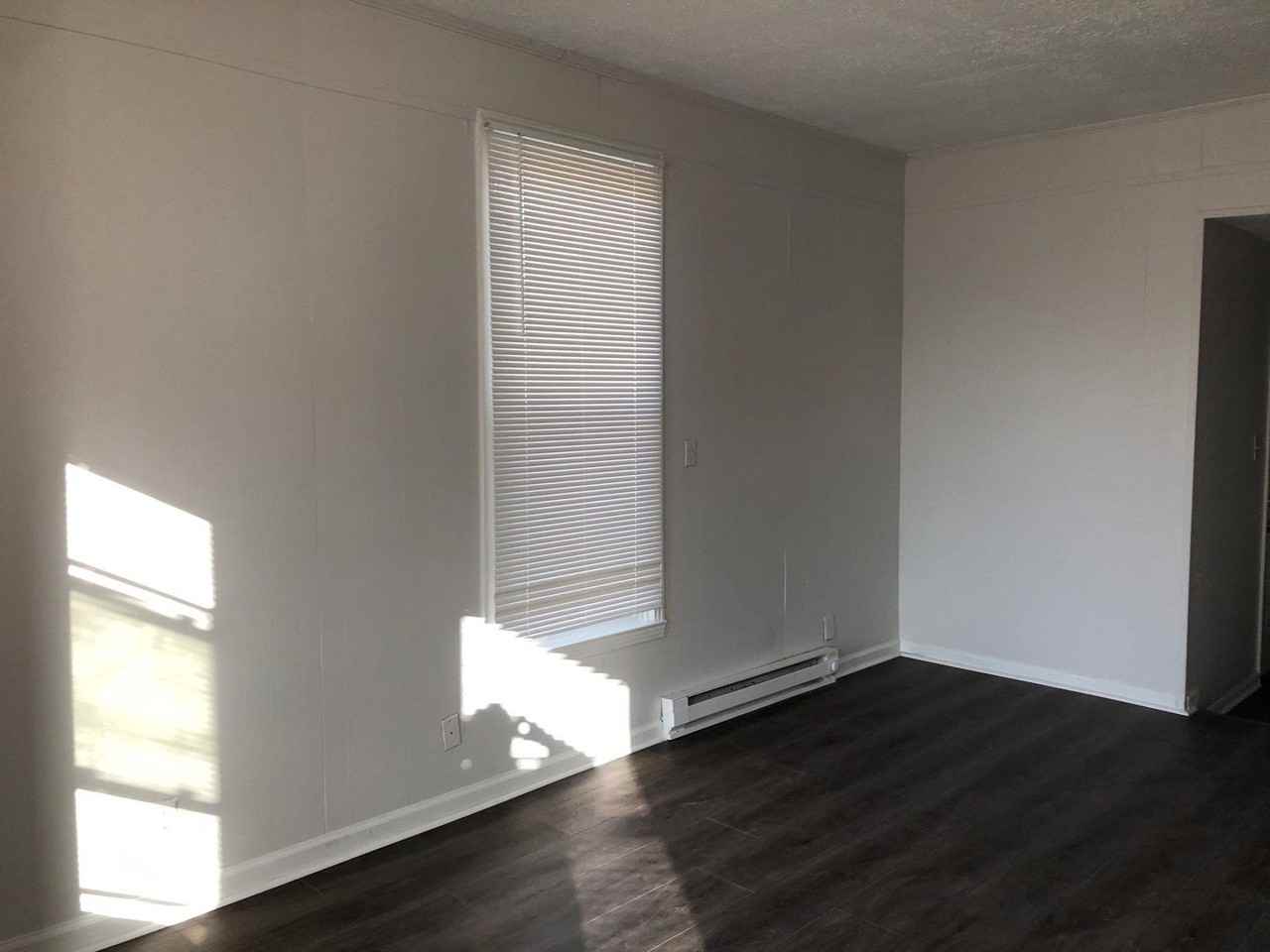Forest St - 809 (x4) - Photo 3 of 14
