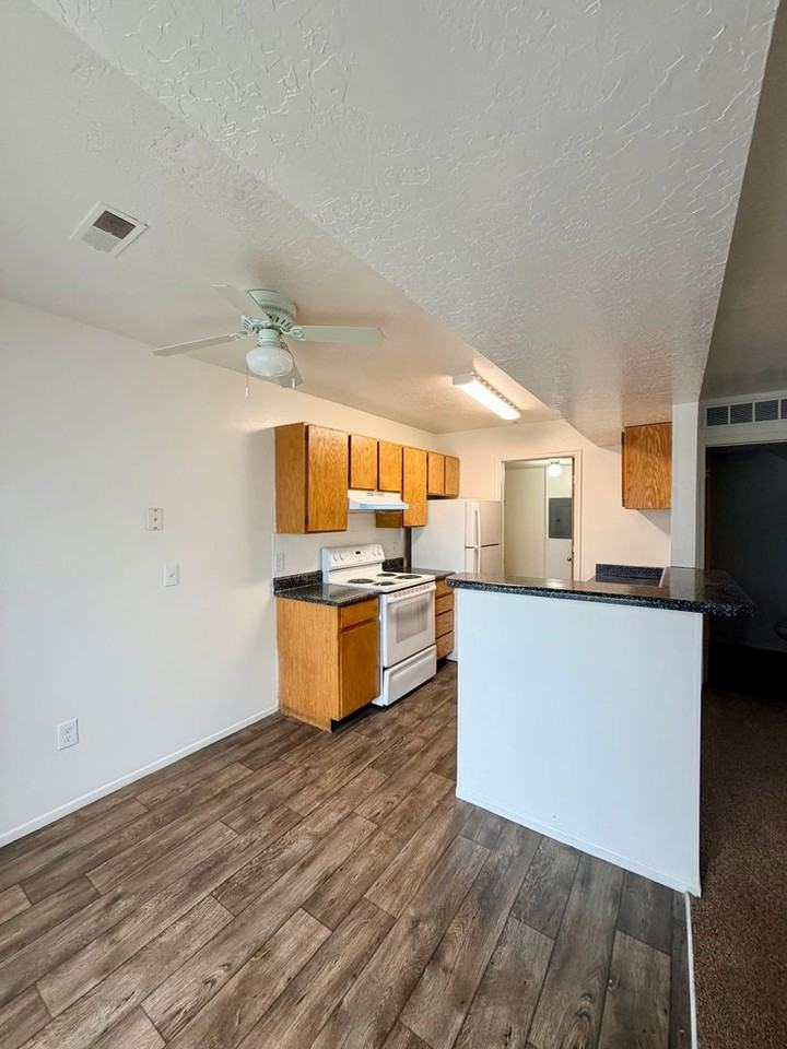 2675 W Ridgeland Park Dr - Photo 3 of 11
