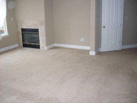 1584 Cielo Ct - Photo 4 of 10