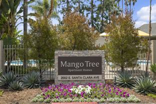 Mango Tree - Photo 1 of 1