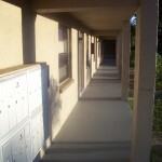 Belcher Park - Photo 6 of 50