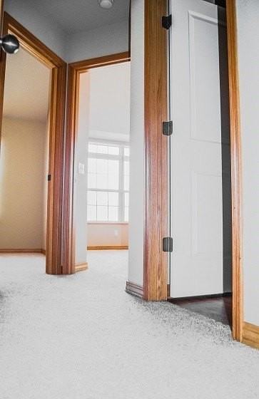2877 W Hillshire Dr - Photo 7 of 14