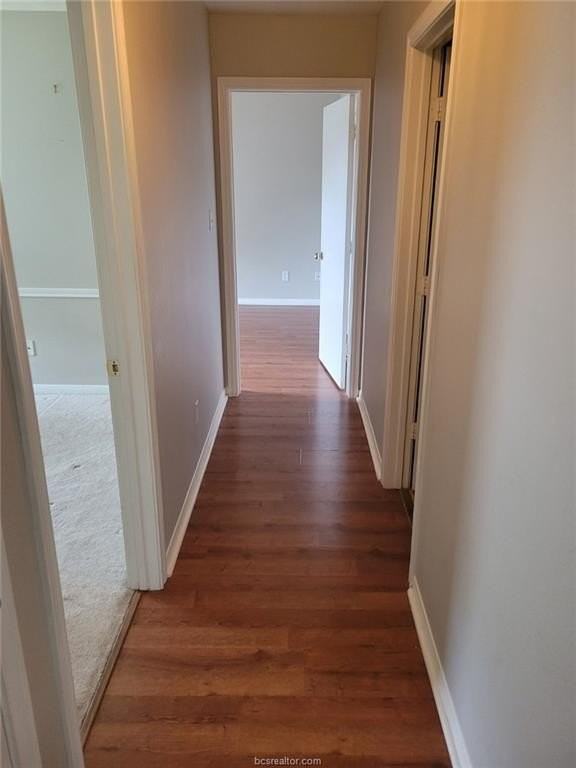 2906 Elise Ln - Photo 5 of 11
