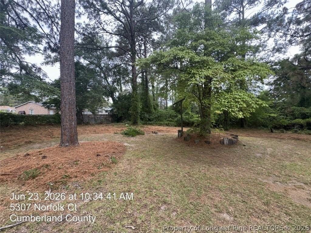 5307 Norfolk Ct - Photo 3 of 19