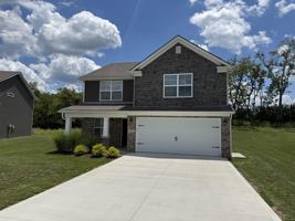 featured image of 8069 Driftwood Loop