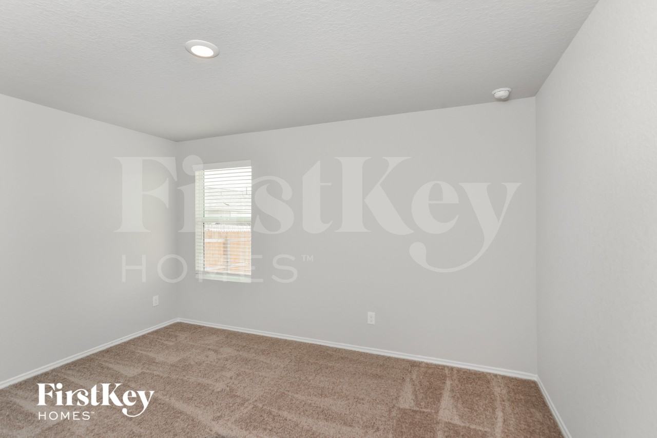 10766 Prusiner Dr - Photo 6 of 18