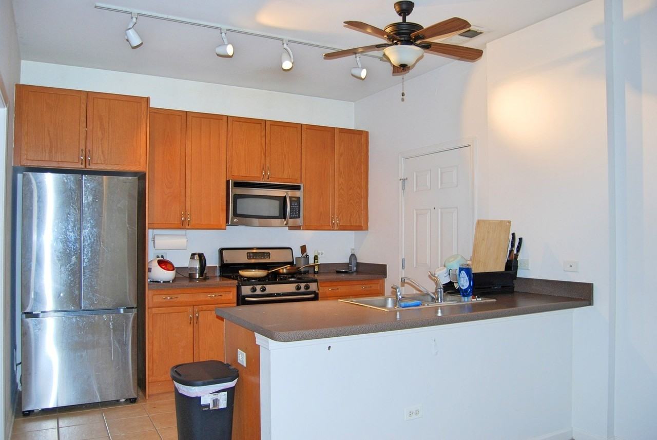 1431 S Halsted St #3A - Photo 2 of 12
