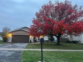 featured image of 1516 Wayne Dr