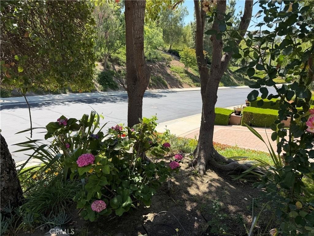 16333 Fox Hollow Way - Photo 4 of 29