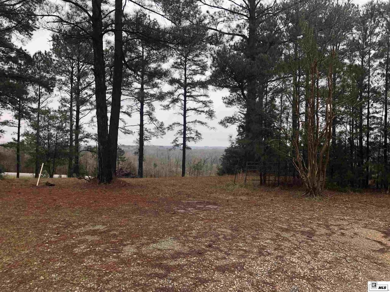 399 Rabb Rd - Photo 7 of 9