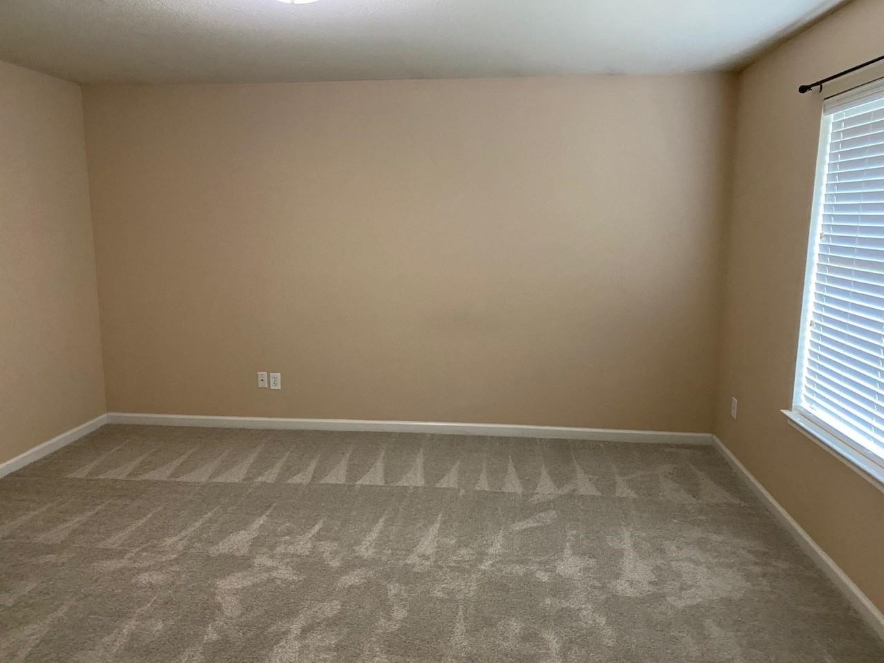 9908 Laurel Cherry Dr - Photo 7 of 16