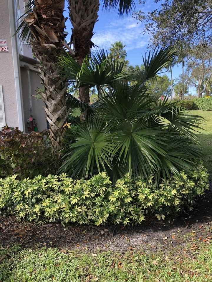 3023 Alcazar Pl #305 - Photo 6 of 47