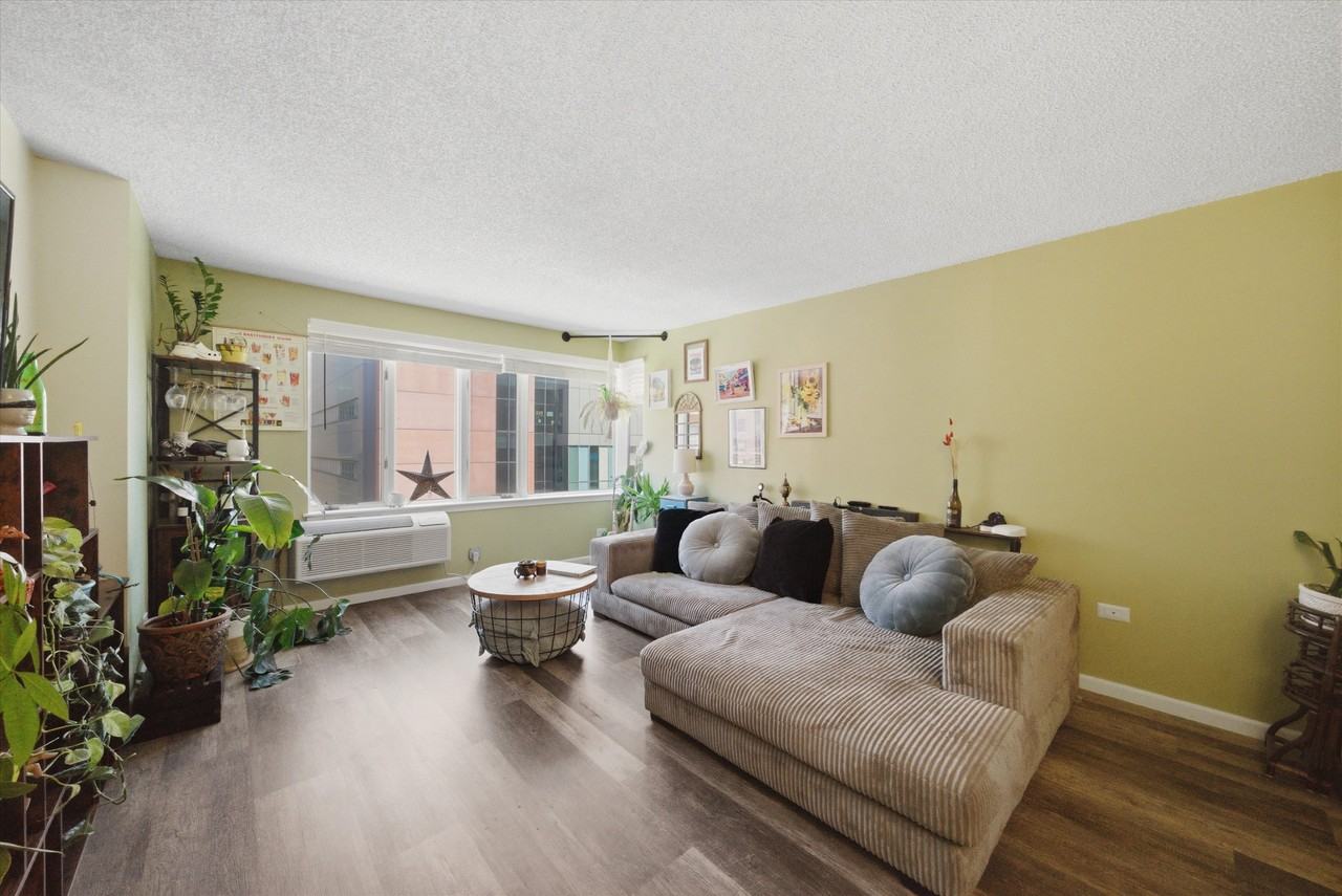801 S Plymouth Ct Apt 713 #713 - Photo 3 of 24