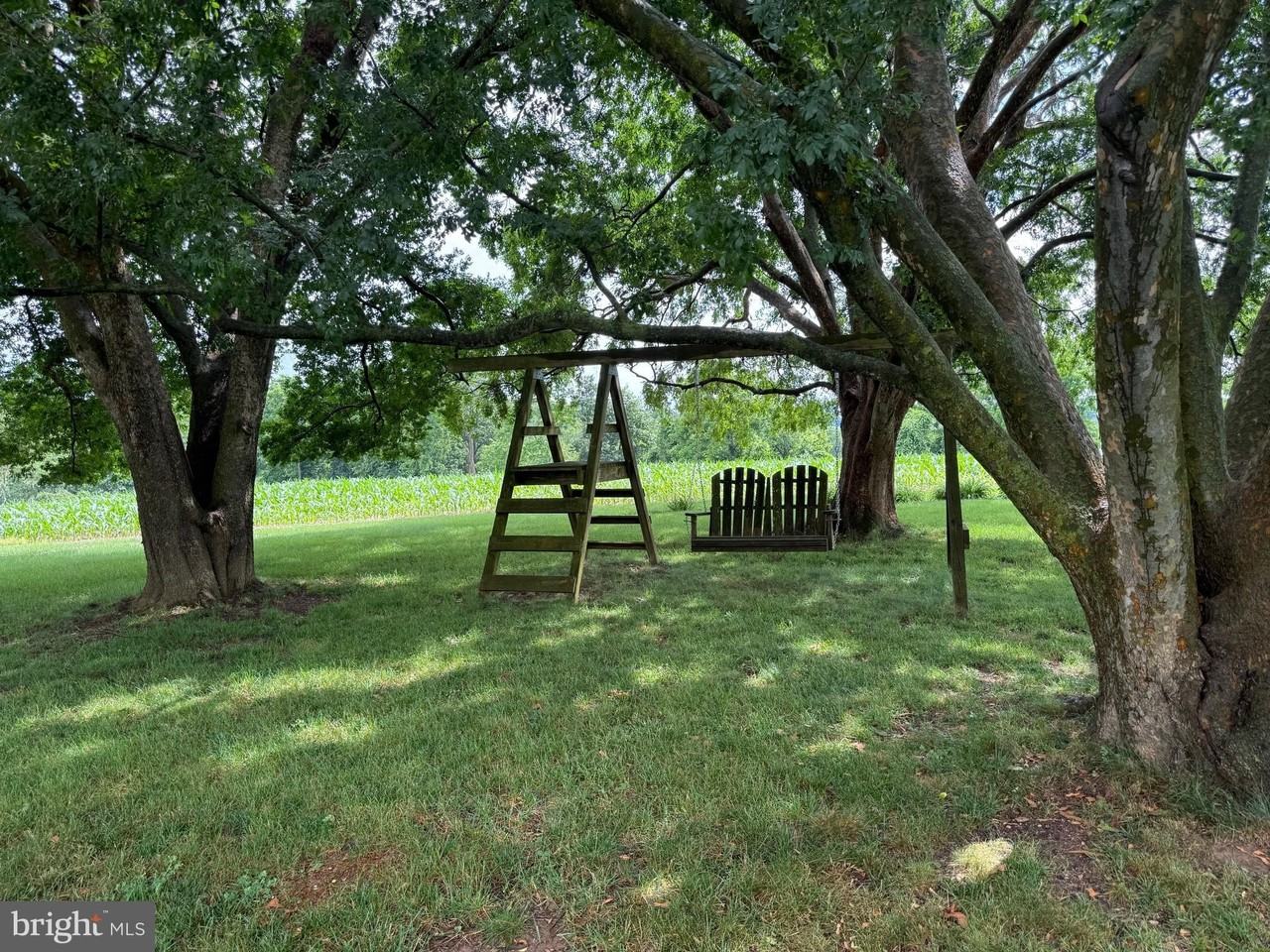 5293 Roller Rd - Photo 5 of 46