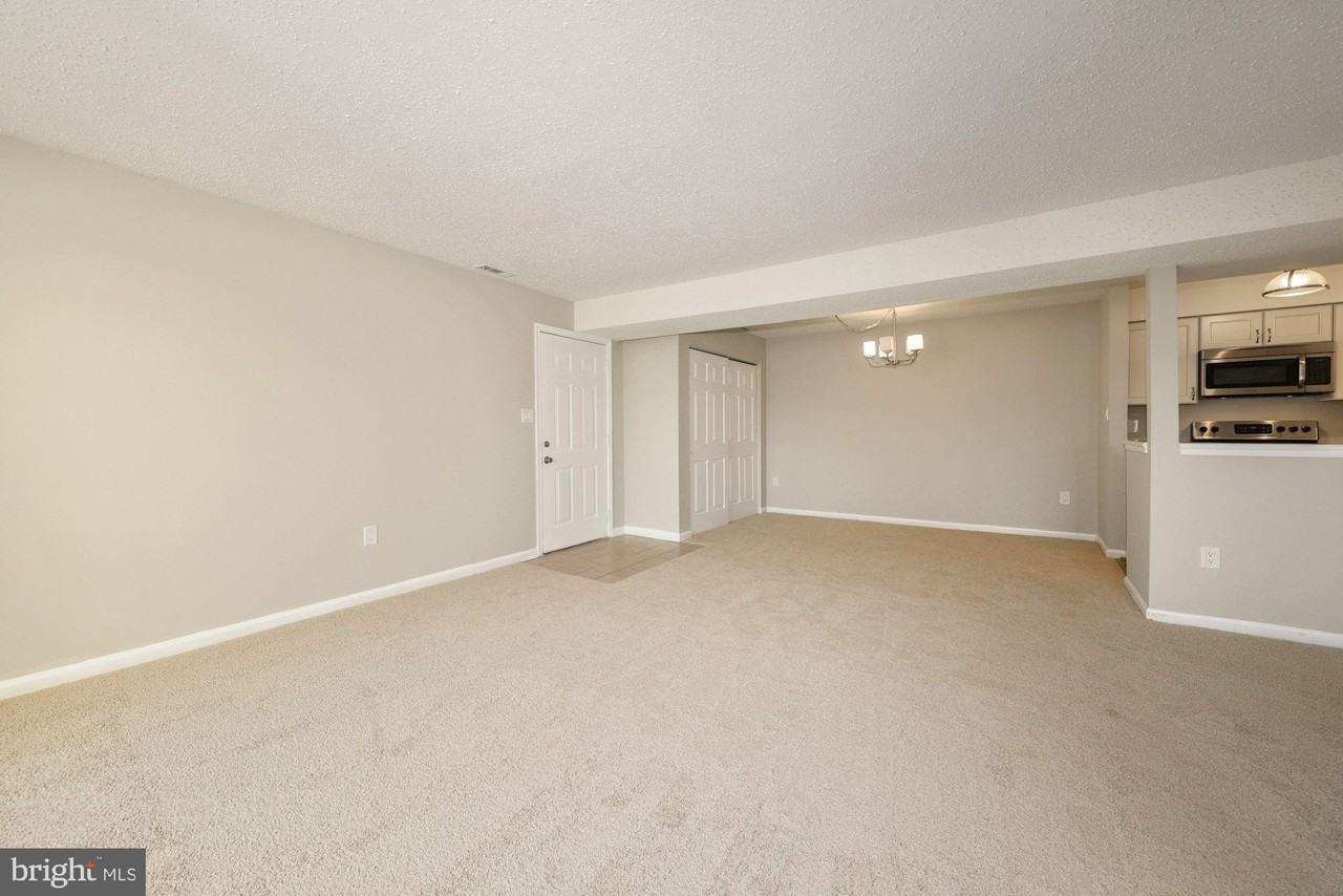 1601 Carriage House Ter #1601E - Photo 4 of 16