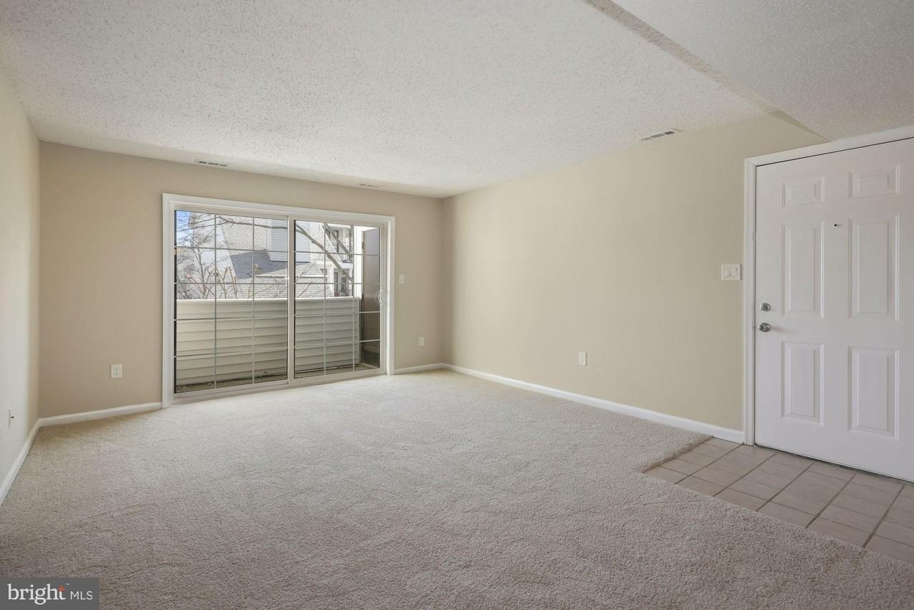 1601 Carriage House Ter #1601E - Photo 5 of 16