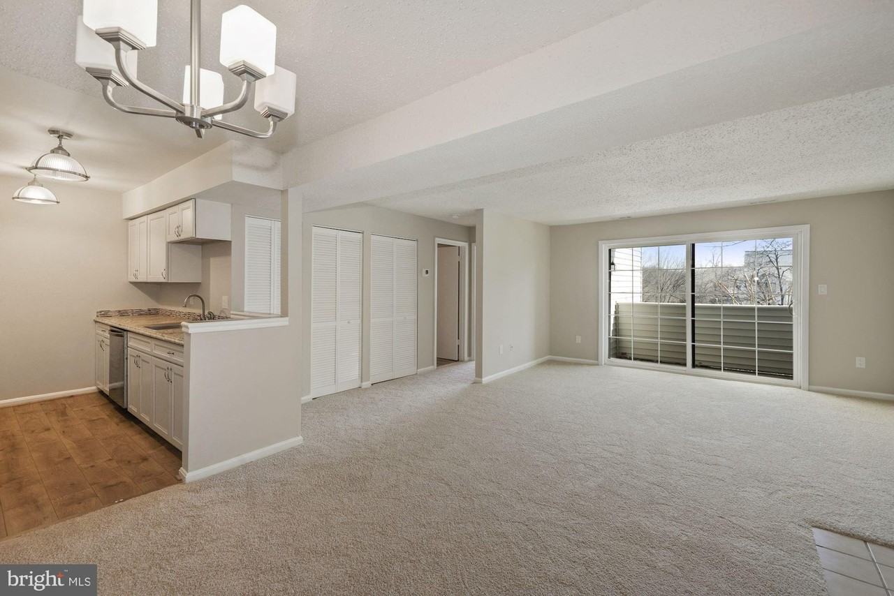 1601 Carriage House Ter #1601E - Photo 7 of 16