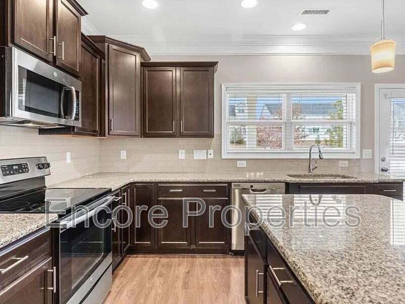 1228 Brown Velvet Ln - Photo 4 of 20