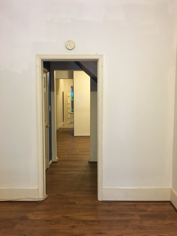 843 Hollins St #1 - Photo 6 of 11