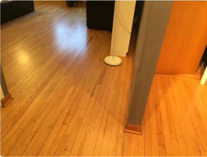 1112 N Harlem Ave - Photo 3 of 11
