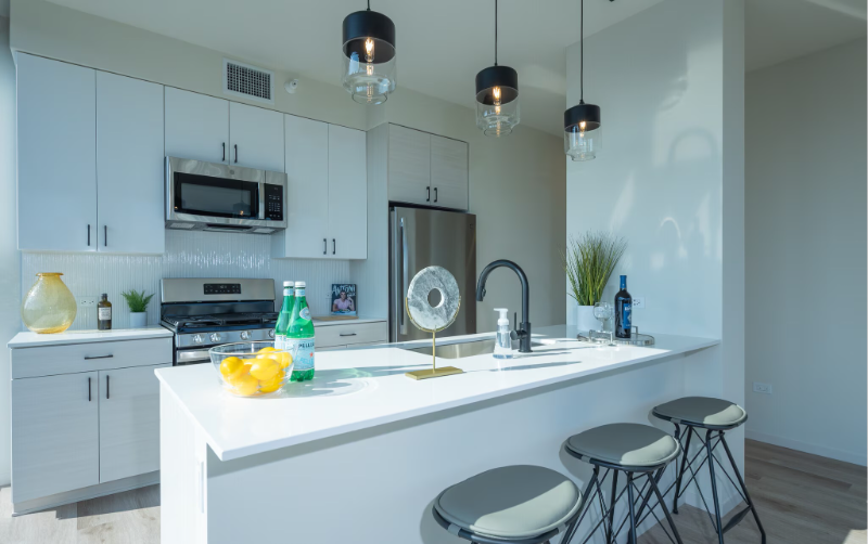 62 E Wacker Pl - Photo 2 of 13