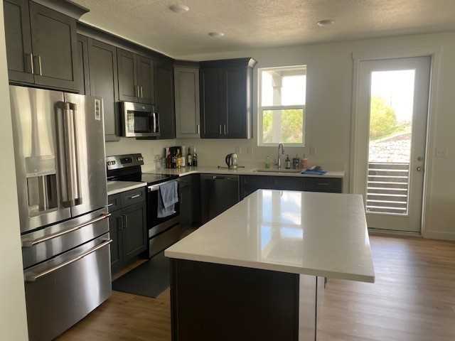 8345 S Iris Lumi Ln #301 - Photo 4 of 6