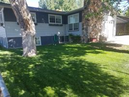 featured image of 730 Green St