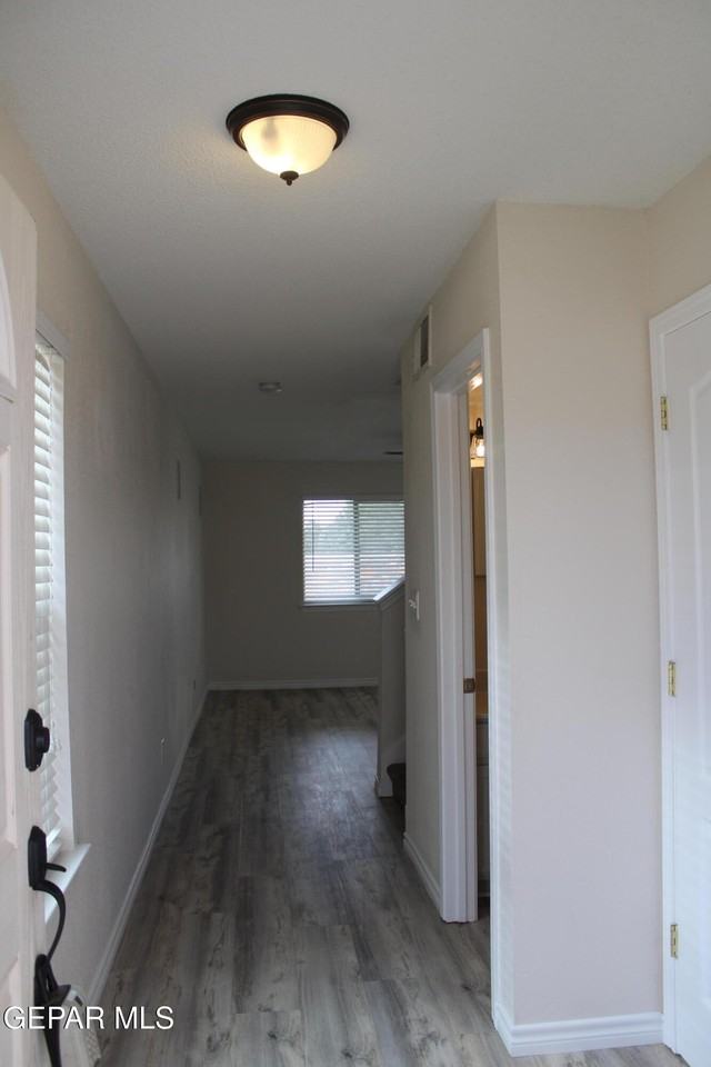 14313 Island Point Dr - Photo 2 of 25